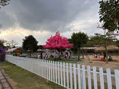 -长洲岛都市农业公园