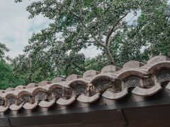 -萤火虫咖啡(砖著店)