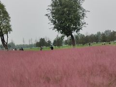 -汉长安城未央宫国家考古遗址公园