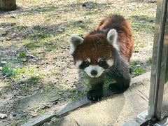 -苏州太湖西山岛开心农场