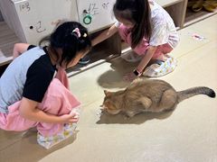 -藏猫猫咖啡主题馆(中央大道店)