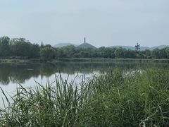 -北坞公园