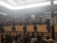 -东芭乐园