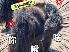 -无锡动物园·太湖欢乐园