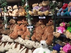 -济州岛泰迪熊博物馆