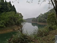 -千岛湖龙川湾