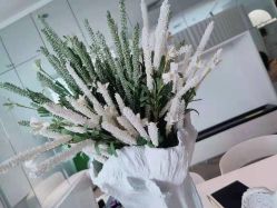 -姜美堂·蒸姜除湿の纤体美颜馆