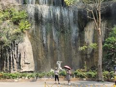 -西双版纳原始森林公园