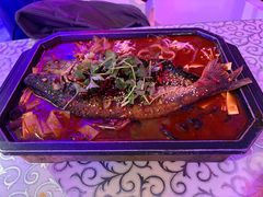 -巴特餐饮6加1音乐餐吧·新疆菜