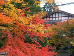 -三千院