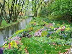 -上海共青森林公园