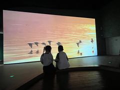 -中国湿地博物馆