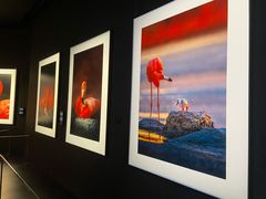 -罗红摄影艺术馆