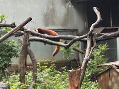 -柳州市动物园