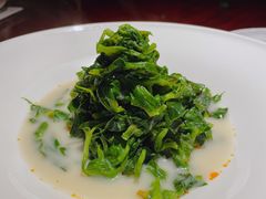 姜汁鱼汤豆苗-解香楼(八盘岭路店)