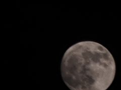 -深圳皇庭V酒店