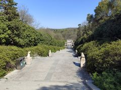 -宜兴龙背山森林公园