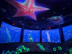 -沈阳海洋探索中心