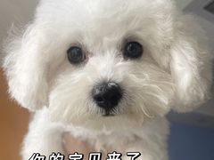 -四月宠物医院·猫专科·心脏专科·内科(转塘店)