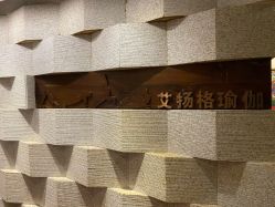 -广州萨谛艾扬格瑜伽中心