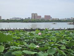 -济南大明湖景区