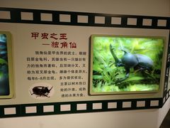 -上海昆虫博物馆