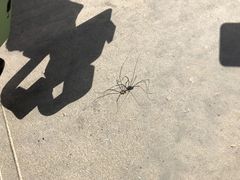 -猫头鹰照相馆(国贸店)