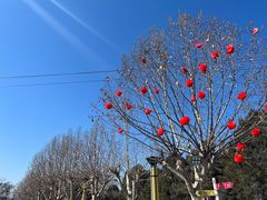-青龙湖公园