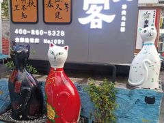 -猫咪博物馆(顶澳仔猫街店)