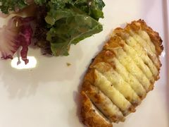 -百好乐宠物友好餐厅(朝外大街店)