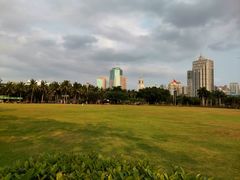 -万绿园