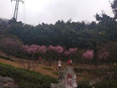 -重庆彩云湖湿地公园