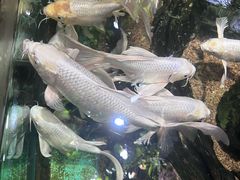 -太平洋海底世界