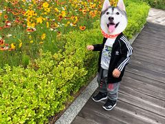 -青岛银沙滩温德姆至尊酒店
