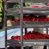 夏天就是要来点小龙虾