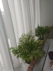 -悟空祛痘·诺奖技术专业店