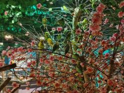 -酷嗒动物文化乐园(cutezoo西溪乐天城店)