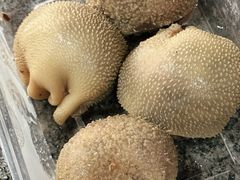 -鹏馨羊羔肉·非遗(新建街店)