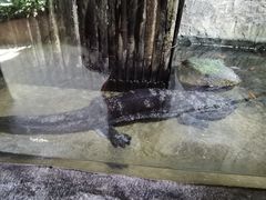 -青青世界