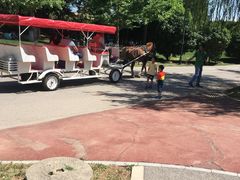 马车-西安世博园