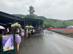-富田农场