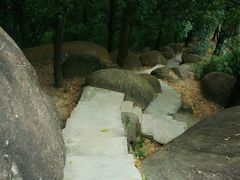 -火炉山森林公园
