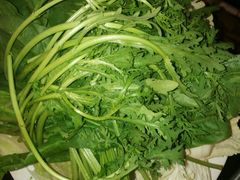 -筋头巴脑牛一锅(朝阳路总店)