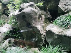 -乾园.魏庐湖景餐厅(花港店)