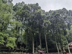 -青城山