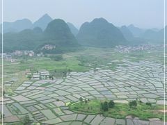 -会仙湿地