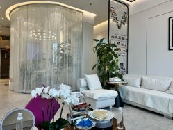 -洁铭新加坡医美