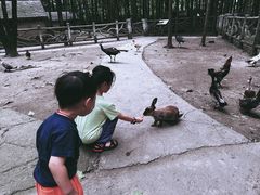 -蒙特利亲子乐园