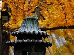 -红螺寺