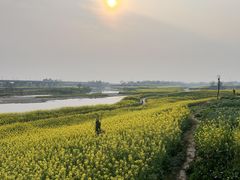 -两河城市森林公园